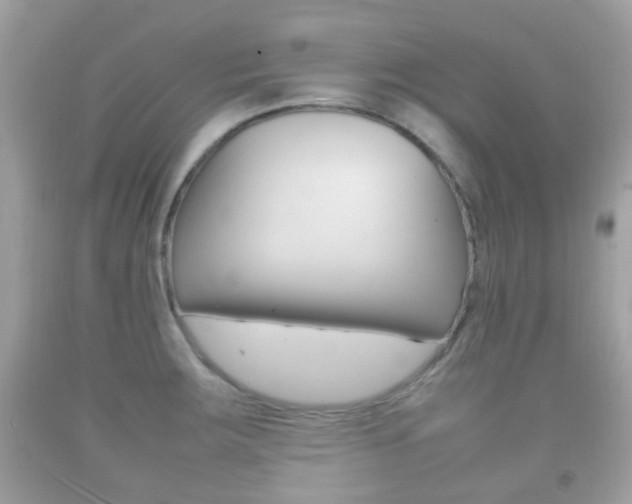 X0000092211283200709140854