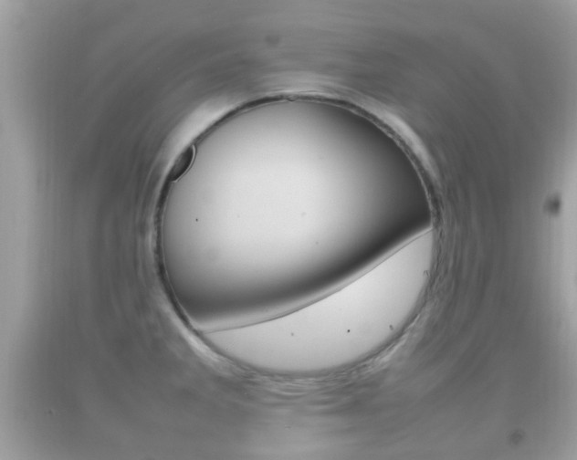X0000092211285200709140854