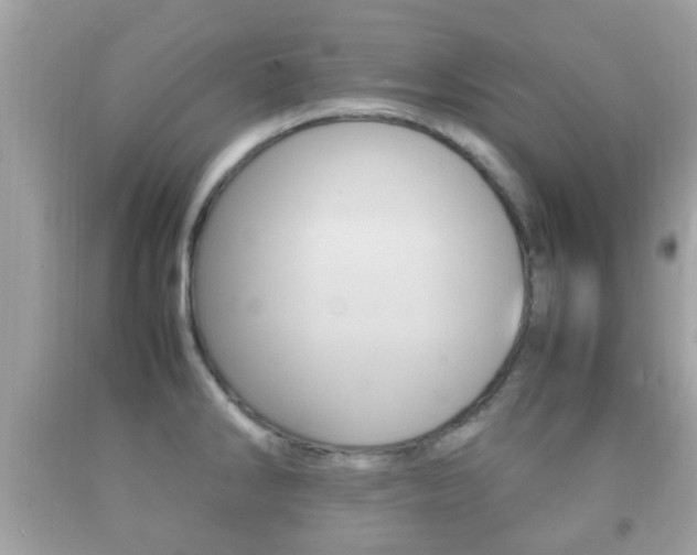 X0000092211286200709140854
