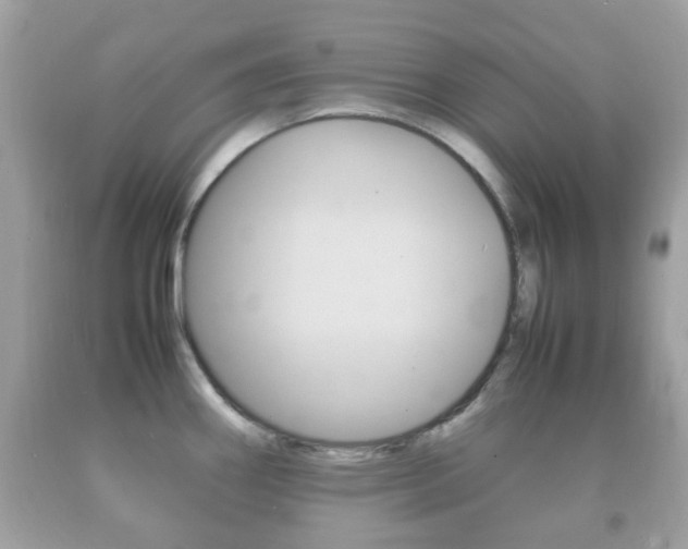 X0000092211290200709140854