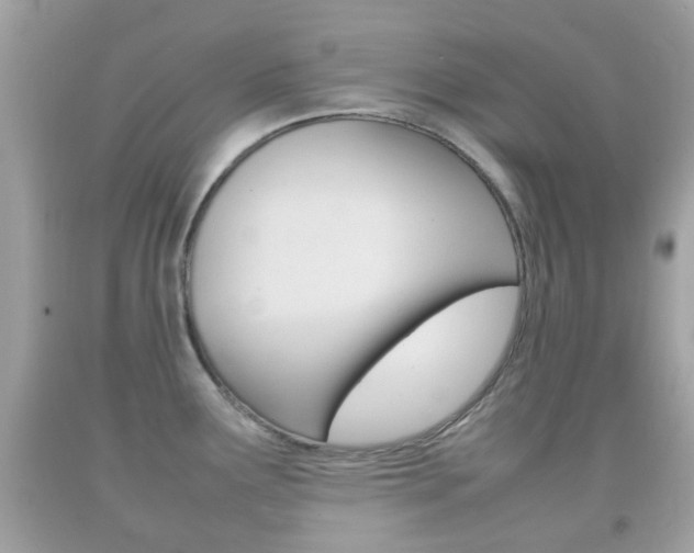 X0000092211291200709140854