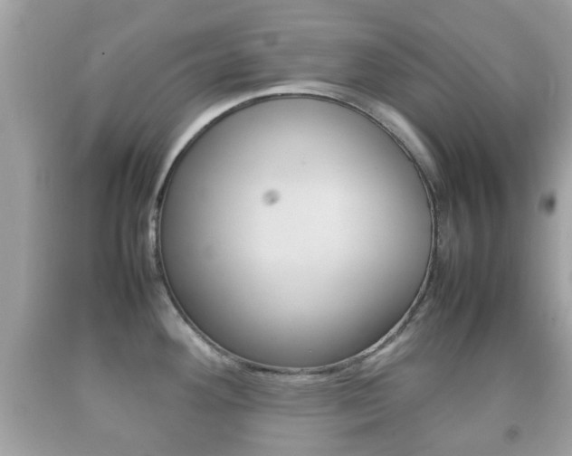 X0000092211292200709140854