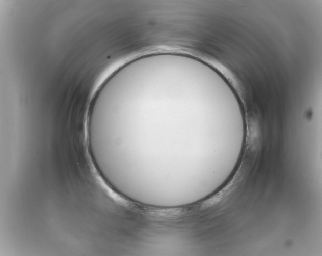 X0000092211294200709140854