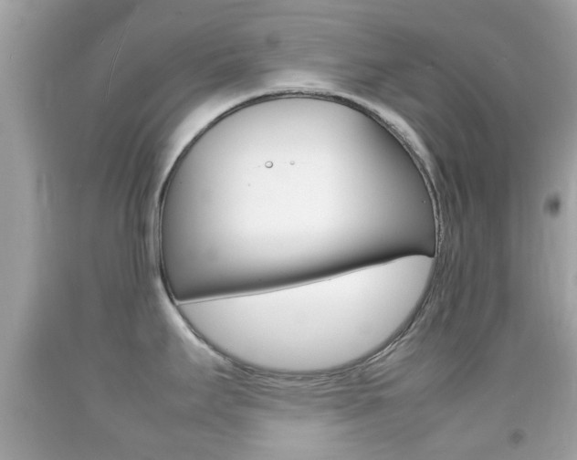 X0000092211295200709140854