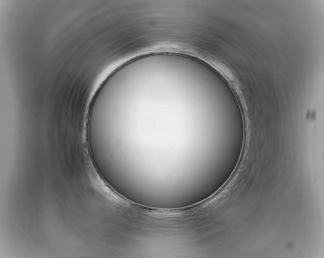 X0000092211296200709140854