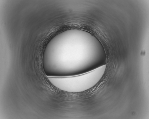 X0000092211297200709140854