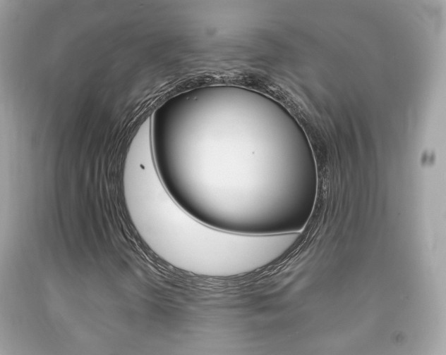 X0000092211298200709140854