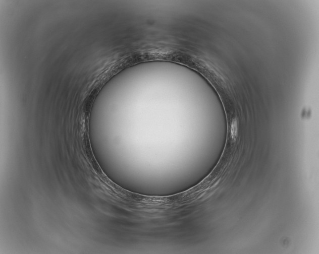 X0000092211299200709140854