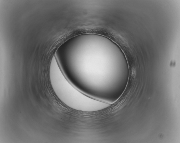X0000092211300200709140854