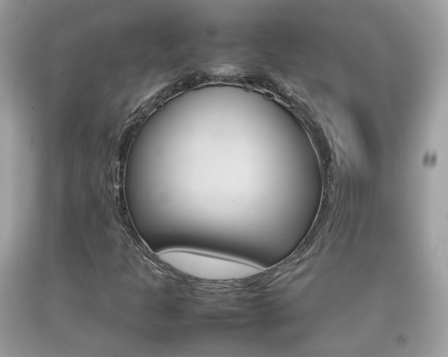X0000092211301200709140854
