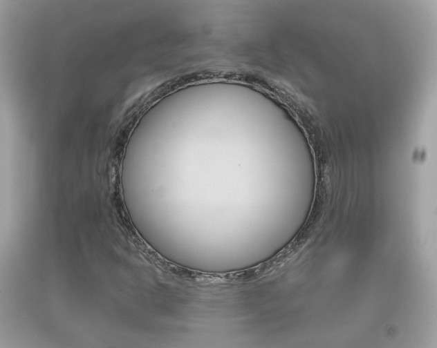 X0000092211302200709140854