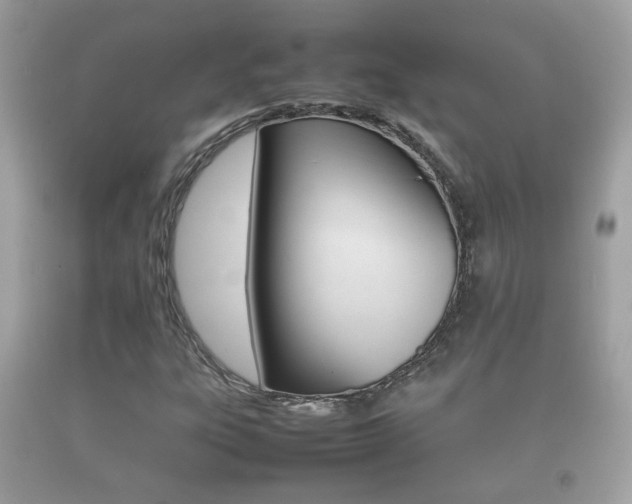 X0000092211303200709140854