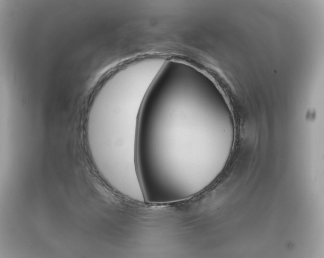 X0000092211304200709140854