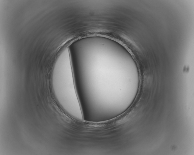 X0000092211305200709140854