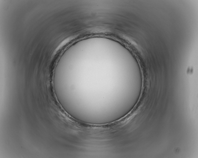 X0000092211306200709140854