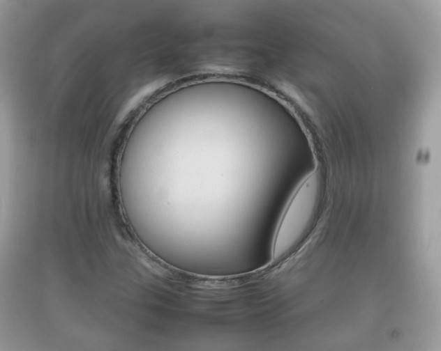 X0000092211307200709140854