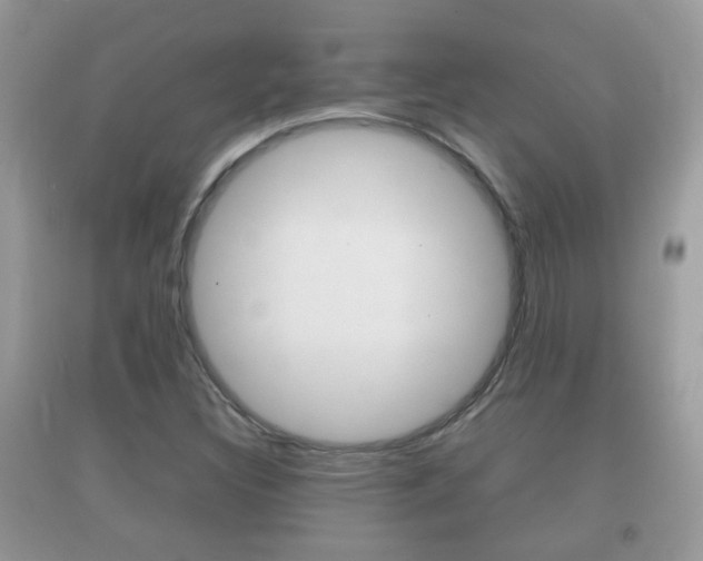 X0000092211308200709140854