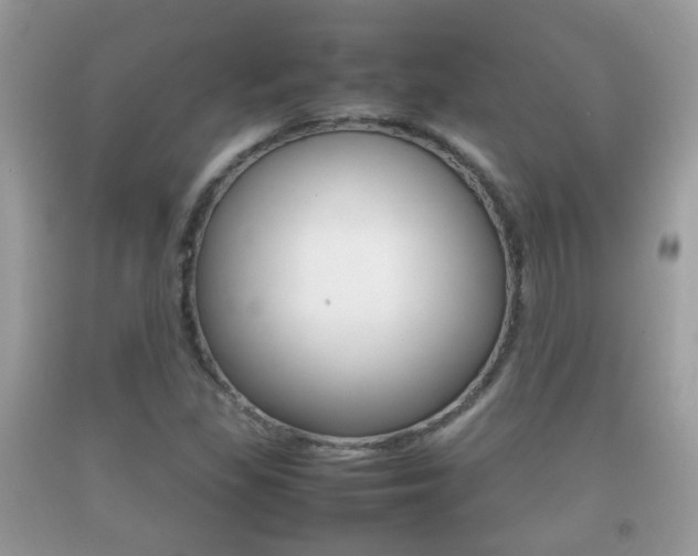 X0000092211309200709140854