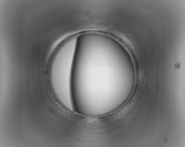 X0000092211310200709140854