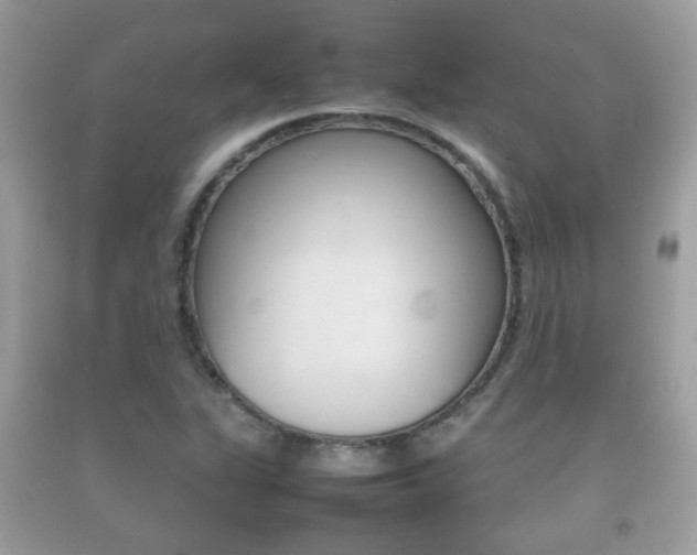 X0000092211311200709140854