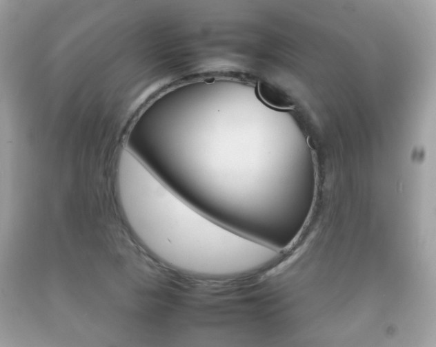 X0000092211313200709140854