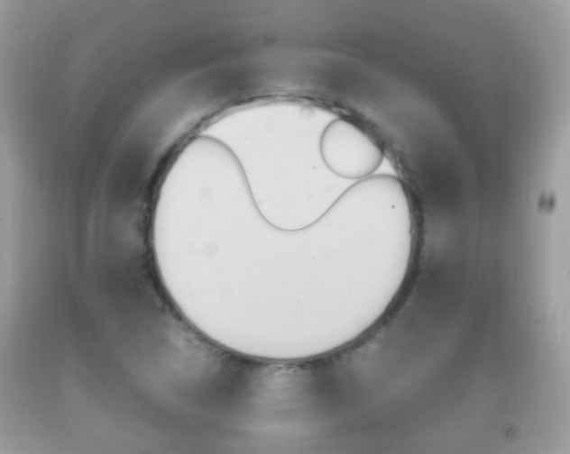 X0000092211314200709140854