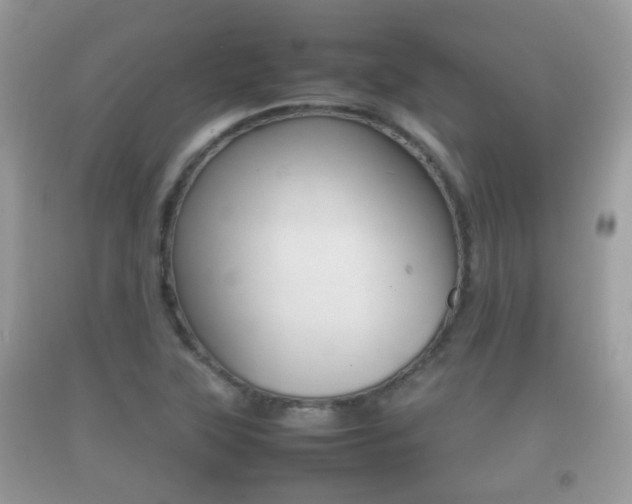 X0000092211315200709140854