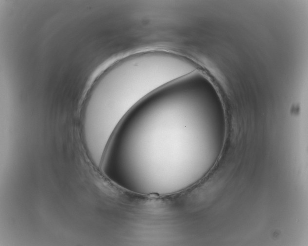 X0000092211316200709140854
