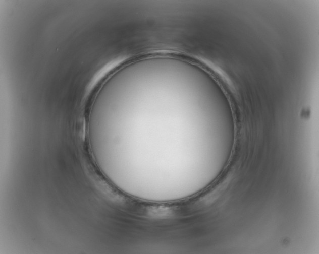 X0000092211317200709140854