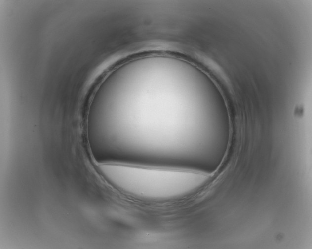 X0000092211318200709140854
