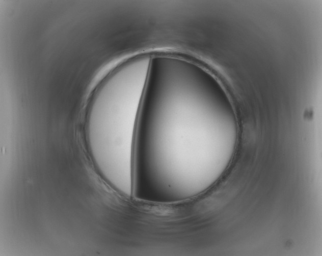 X0000092211319200709140854