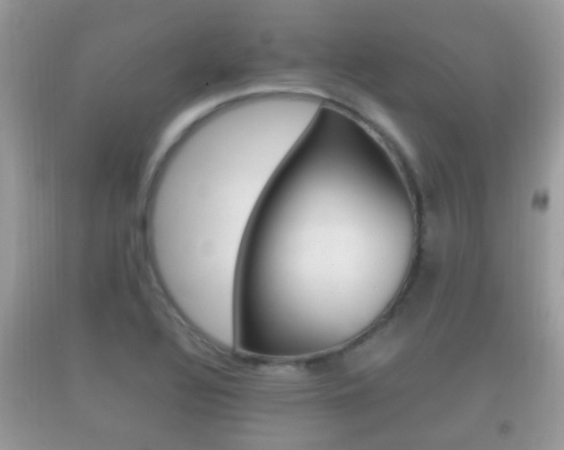 X0000092211320200709140854