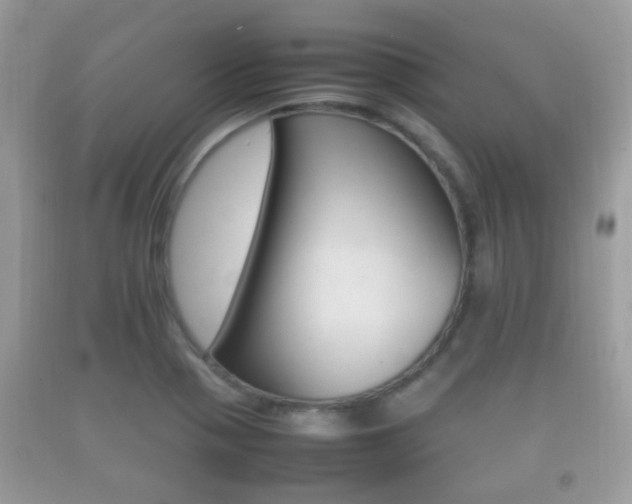 X0000092211321200709140854