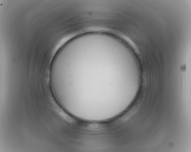 X0000092211322200709140854