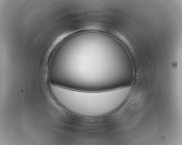 X0000092211323200709140854