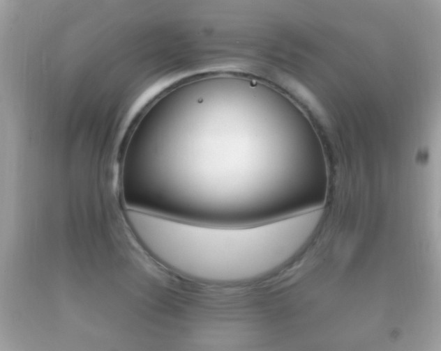 X0000092211324200709140854
