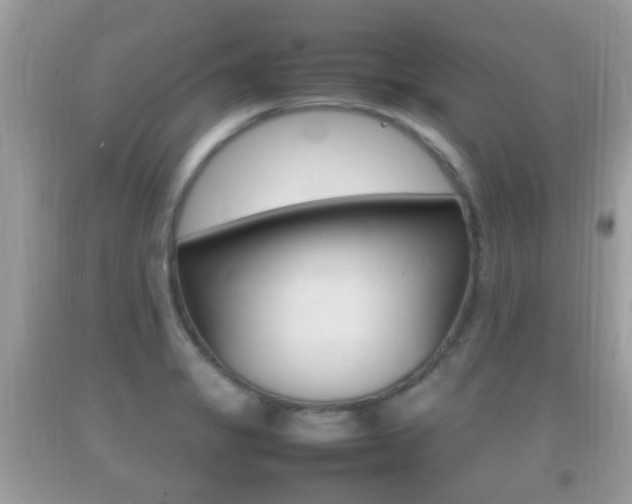 X0000092211325200709140854