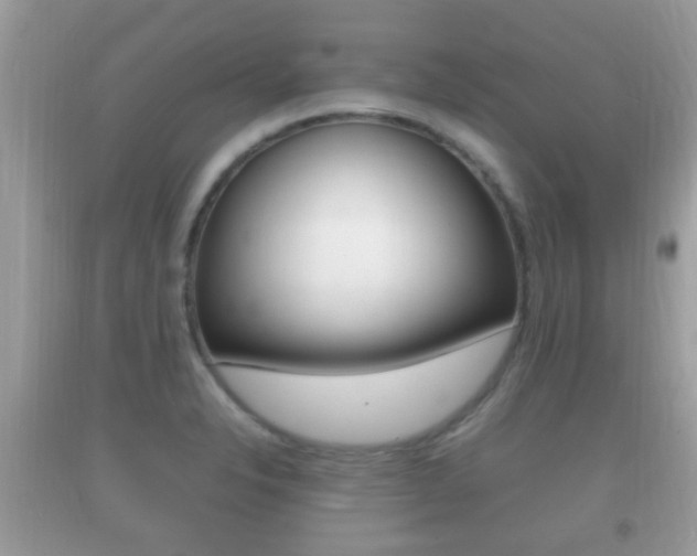 X0000092211326200709140854