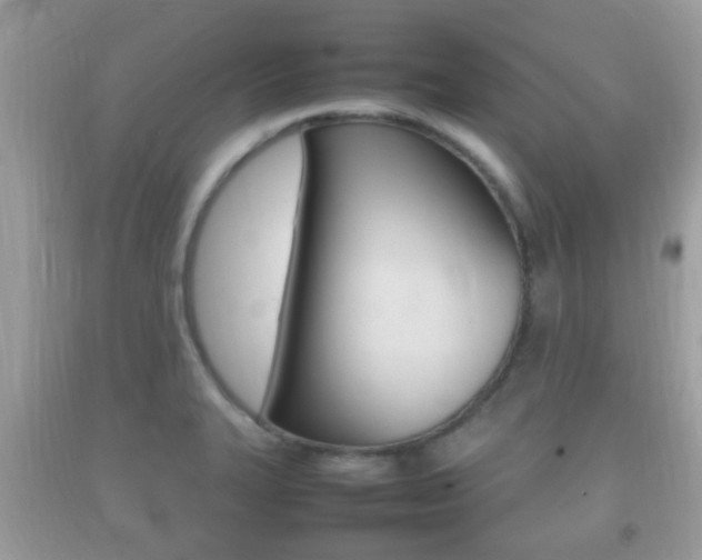 X0000092211327200709140854