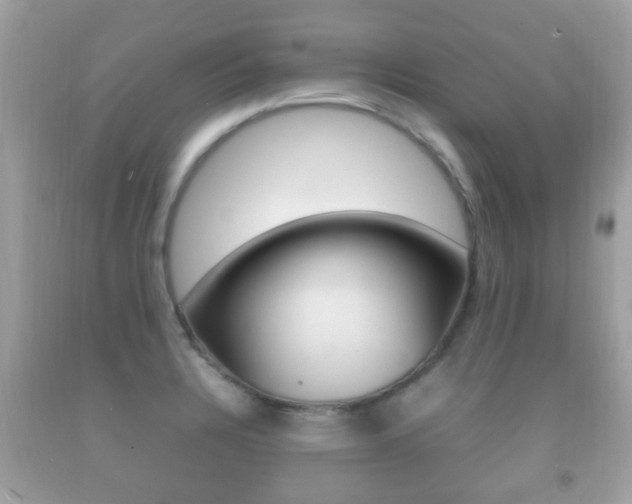 X0000092211328200709140854