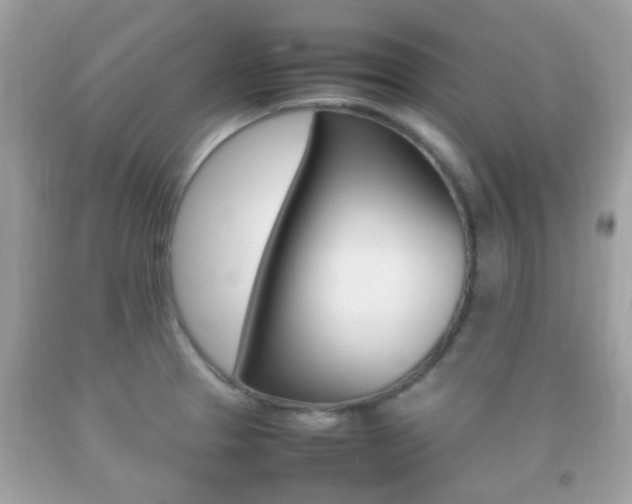 X0000092211329200709140854