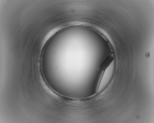X0000092211330200709140854