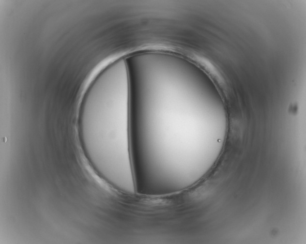 X0000092211331200709140854