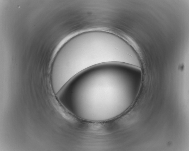 X0000092211332200709140854