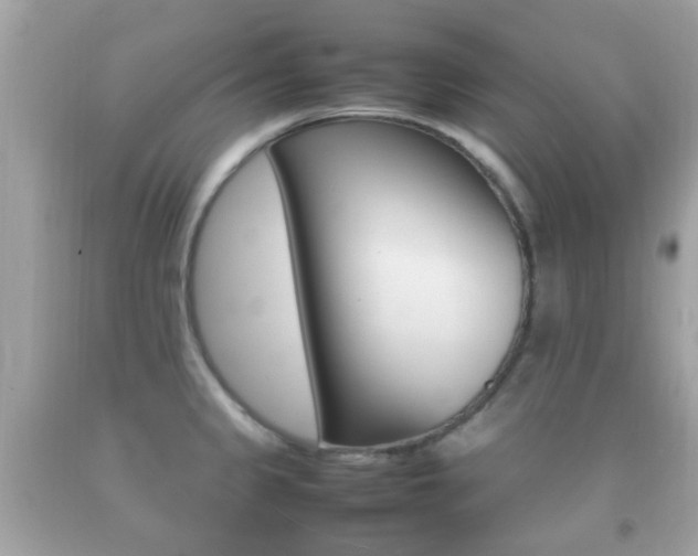 X0000092211333200709140854