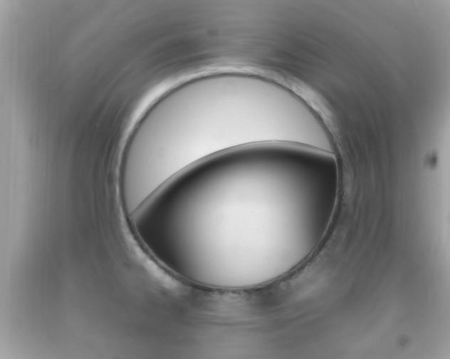 X0000092211334200709140854