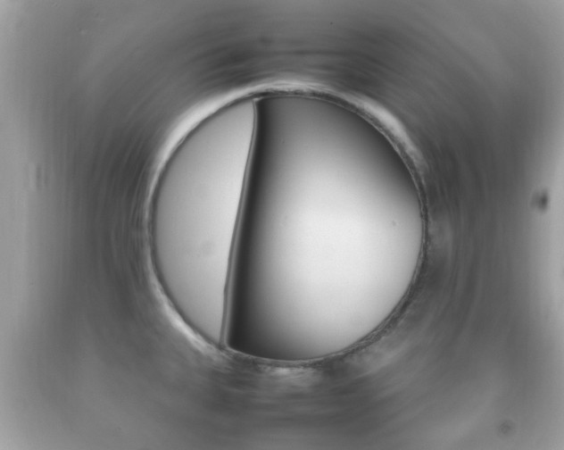X0000092211335200709140854