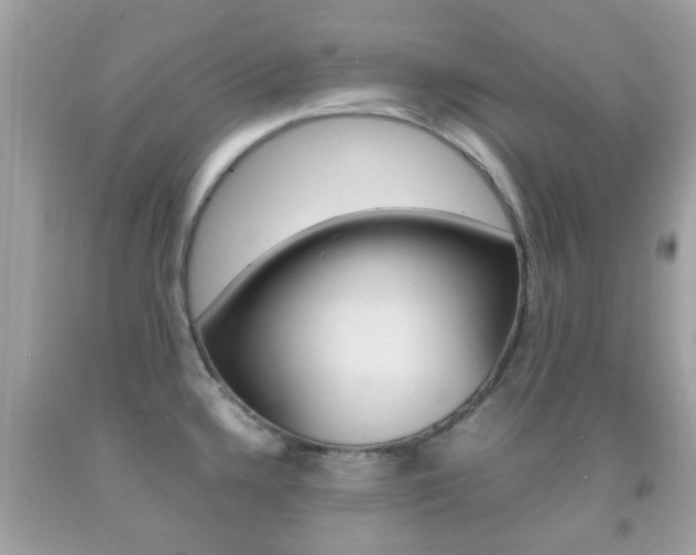 X0000092211336200709140854