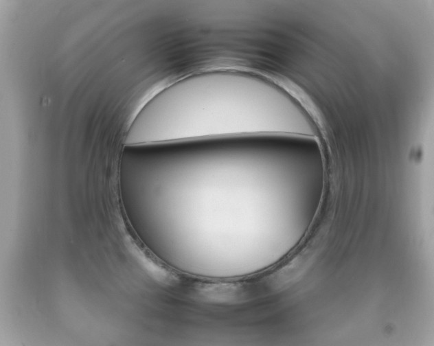 X0000092211337200709140854