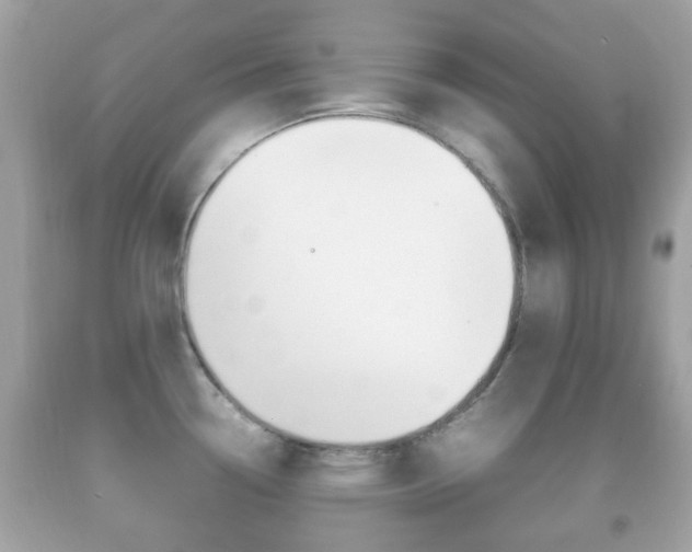 X0000092211338200709140854